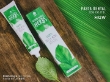 FotoCremadental2HGW