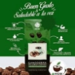 Imagen de GANODERMA